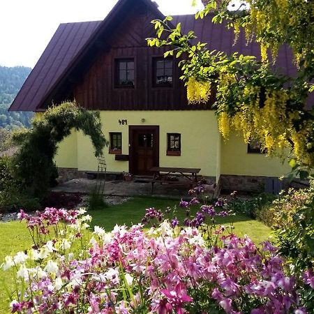 Apartments Vecernik Rokytnice Рокитнице над Ийзероу Екстериор снимка