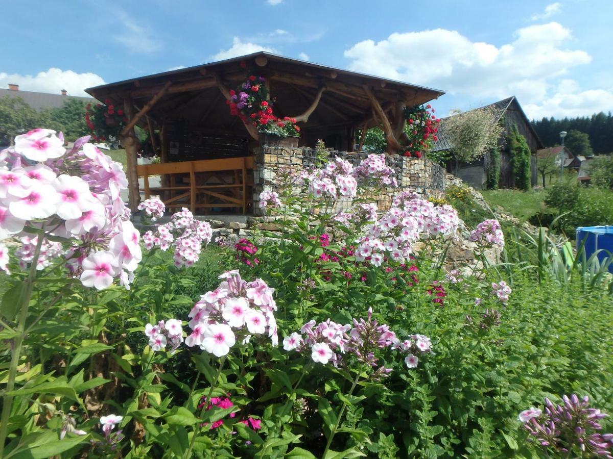 Apartments Vecernik Rokytnice Рокитнице над Ийзероу Екстериор снимка