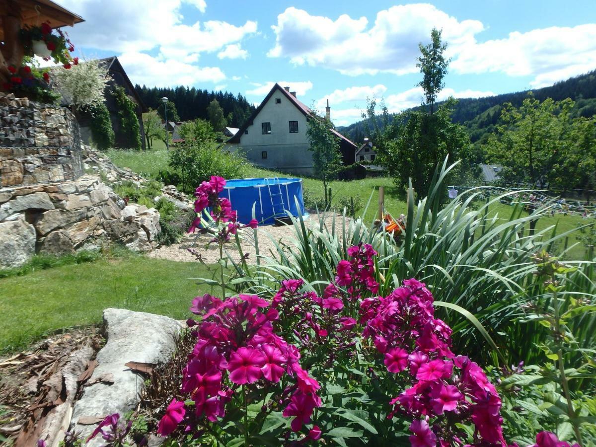 Apartments Vecernik Rokytnice Рокитнице над Ийзероу Екстериор снимка