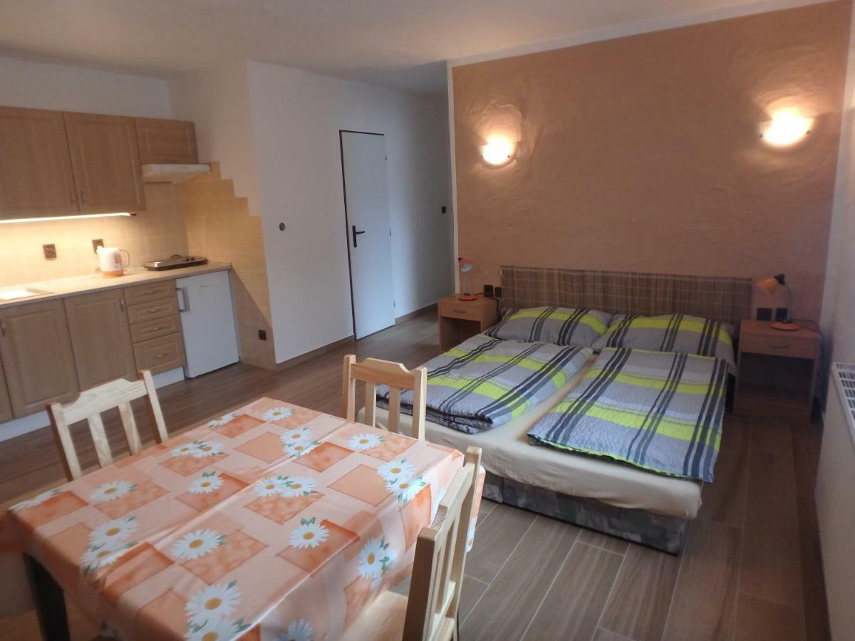 Apartments Vecernik Rokytnice Рокитнице над Ийзероу Екстериор снимка