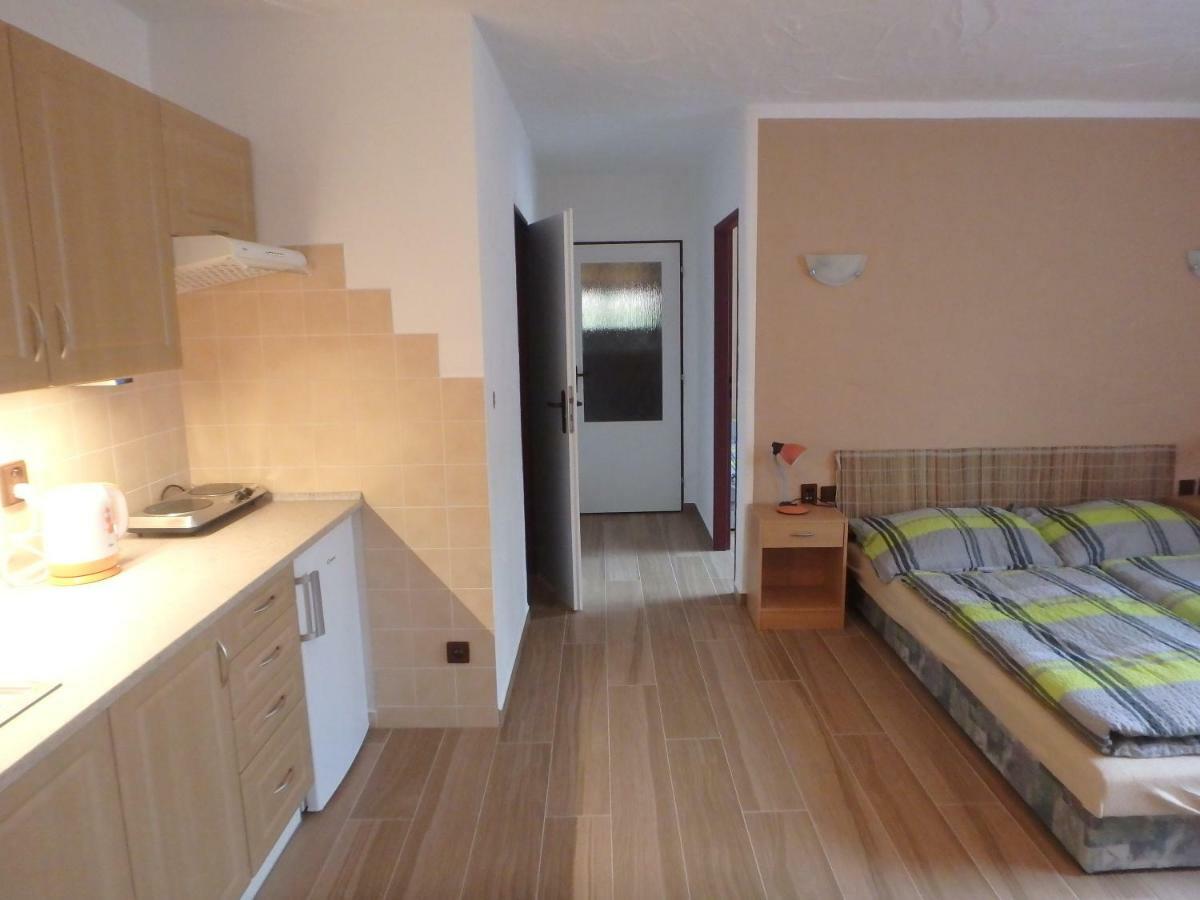 Apartments Vecernik Rokytnice Рокитнице над Ийзероу Екстериор снимка